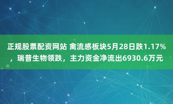 正规股票配资网站 禽流感板块5月28日跌1.17%，瑞普生物领跌，主力资金净流出6930.6万元