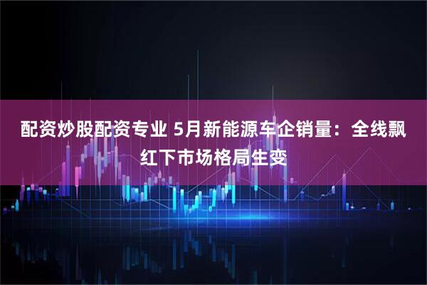 配资炒股配资专业 5月新能源车企销量：全线飘红下市场格局生变