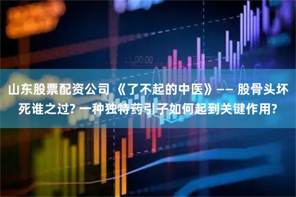 山东股票配资公司 《了不起的中医》—— 股骨头坏死谁之过? 一种独特药引子如何起到关键作用?